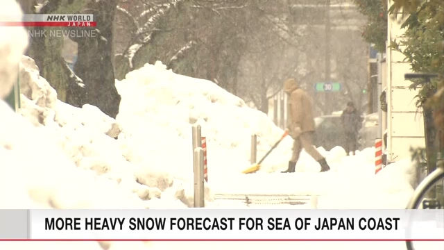 Dự báo tuyết rơi dày bên Biển Nhật Bản