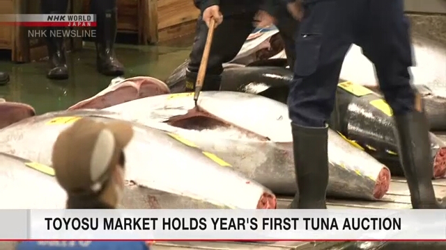 Chợ Toyosu mở phiên đấu giá cá ngừ đầu tiên của năm 2022