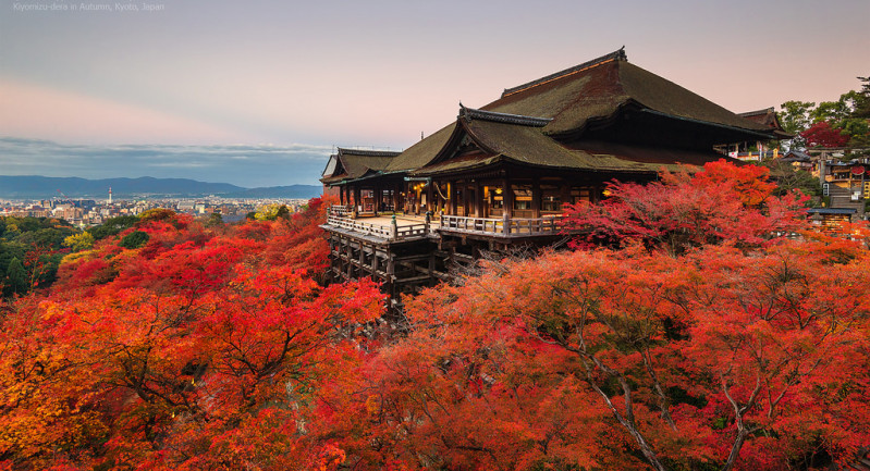 Đừng bỏ lỡ những điều tuyệt vời vào mùa thu Nhật Bản